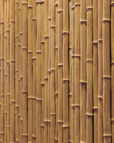 Bamboo -  | Citco