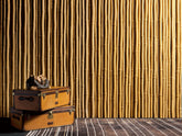Bamboo -  | Citco
