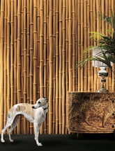 Wall Features | Citco