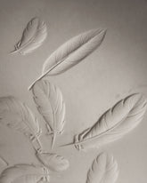 Plumage -  | Citco